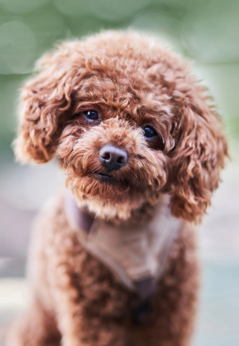 Caritas-Station Olpe – Bild 4