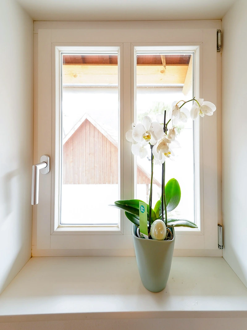 Caritas-Sozialstation Geseke – Bild 3