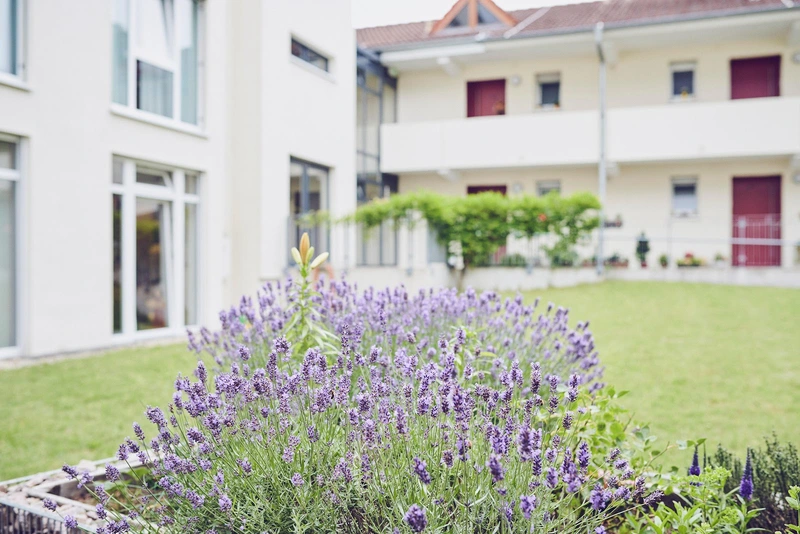 Senioren- und Pflegepark Rödermark – Bild 3