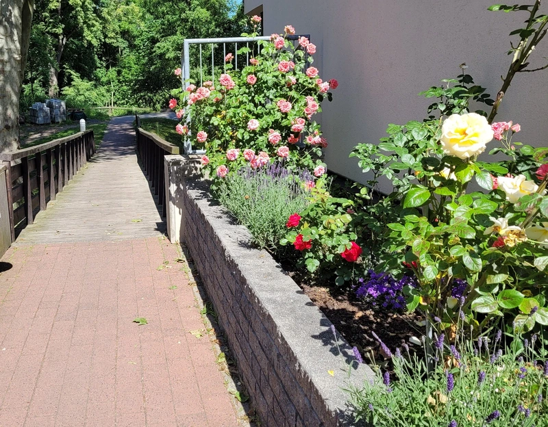 Martin Luther Stiftung – Bild 4