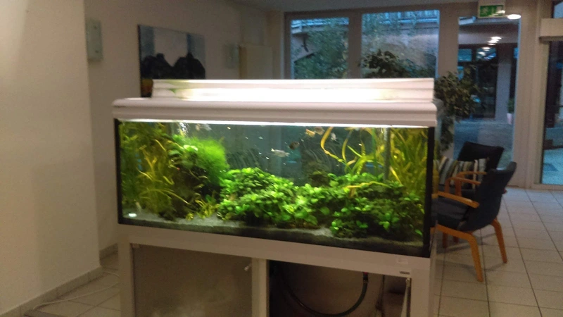 Martin Luther Stiftung – Bild 5