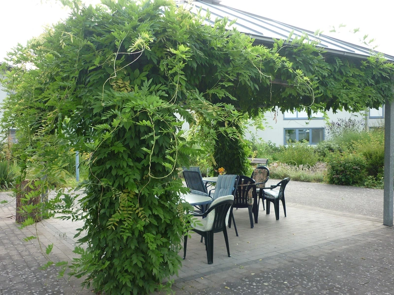 Joseph Anton Rohe'sche Altenheim-Stiftung – Bild 5