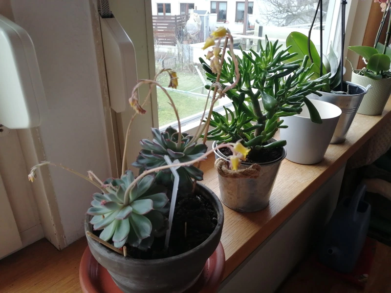 Pflegezentrum Obernburg – Bild 4