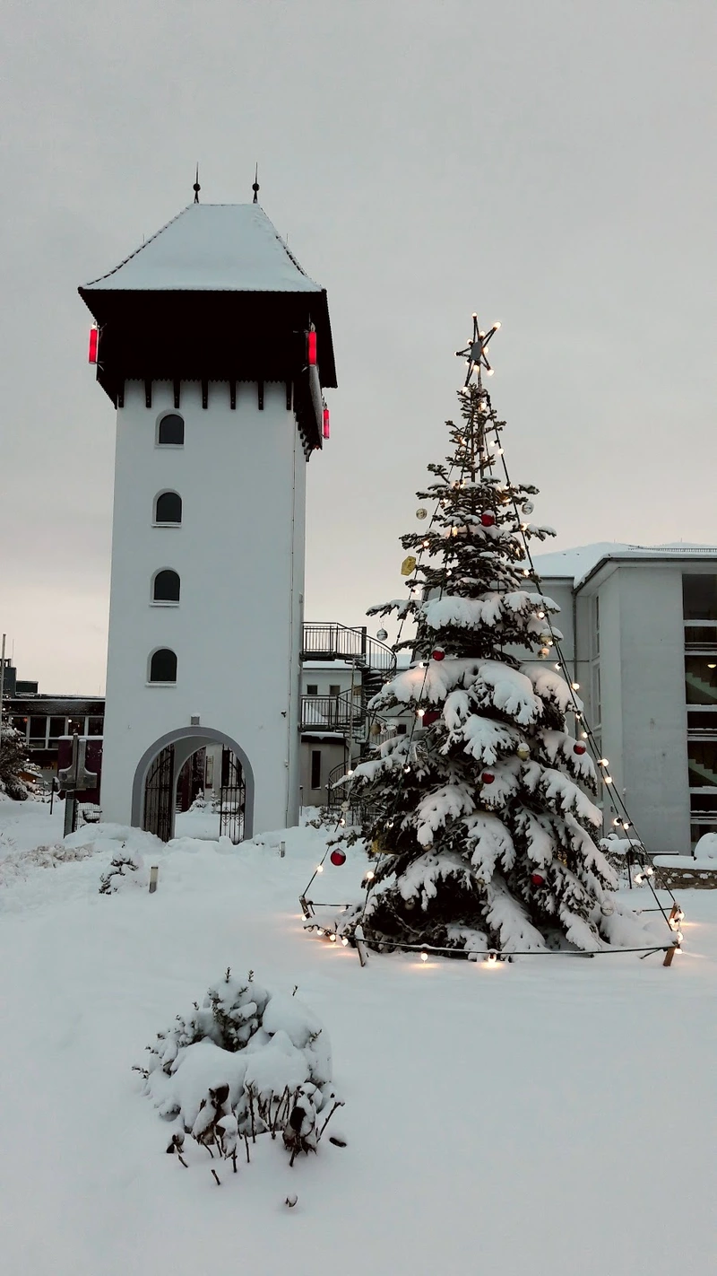 Haus Siebenbürgen – Bild 5