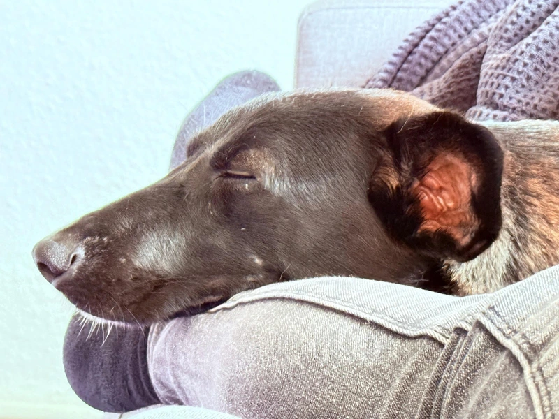 Nuvie GmbH – Bild 3