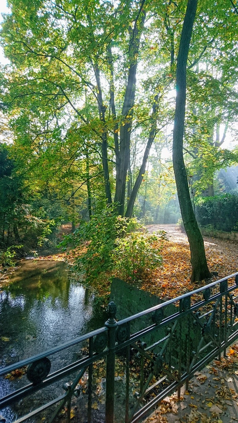 CMS Seniorenresidenz Am Kurpark – Bild 5