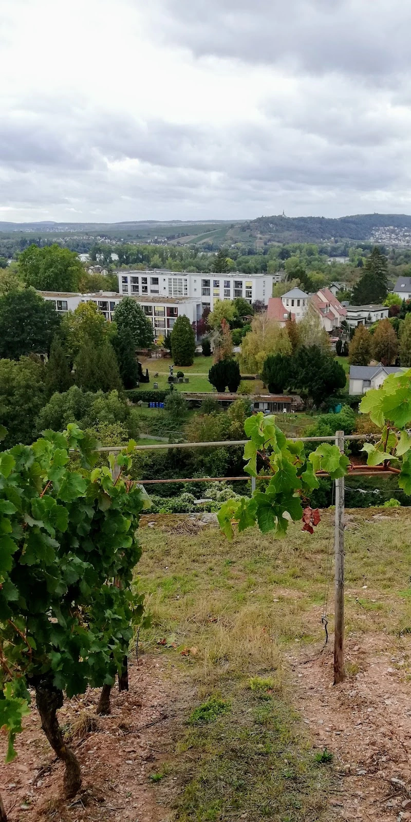 Marienheim Kurzzeitpflege Hospitalstraße 23 65366 Geisenheim – Bild 2