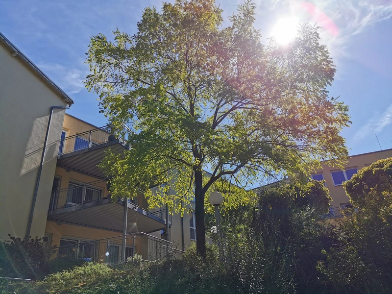 DOREAFAMILIE Runkel – Bild 4