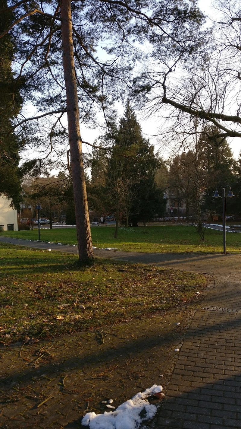 Seniorenresidenz Main-Taunus-Kreis gGmbH – Bild 4