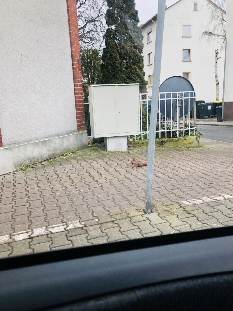 Victor- Gollancz- Haus – Bild 1