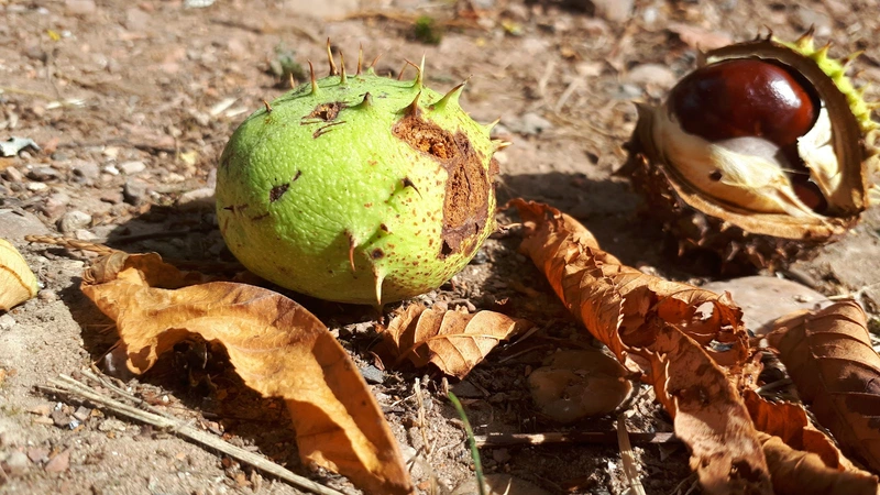 Gesprächskreis für Angehörige Barmherzige Brüder Haus St. Vinzenz – Bild 4