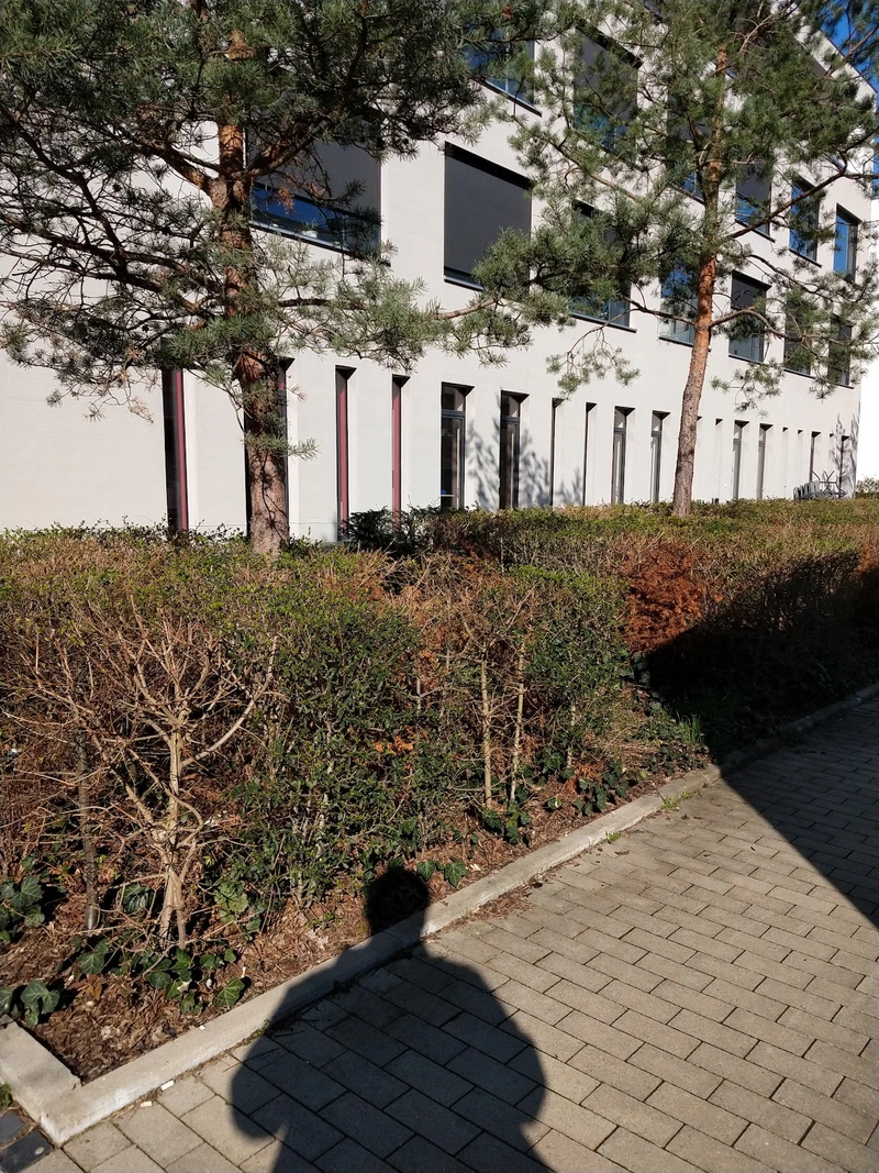 fab e.V. Förderung der Autonomie Behinderter – Bild 5