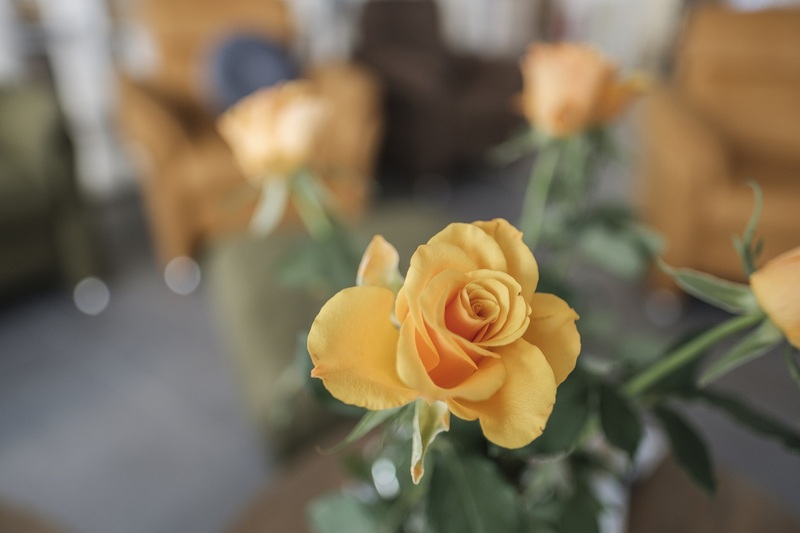 EWA GmbH - Eigenständig Wohnen im Alter – Bild 5