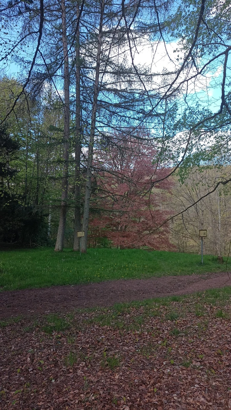 Seniorenzentrum Elversberg – Bild 5