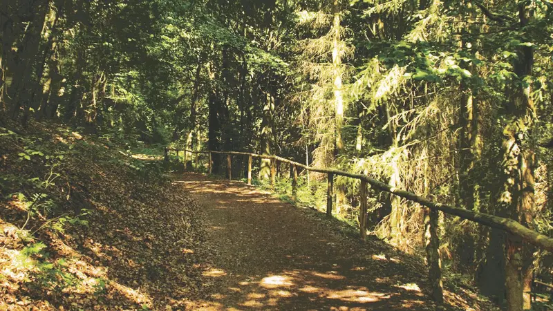 Alten- & Pflegezentrum Annaheim Wiebelskirchen GmbH – Bild 3