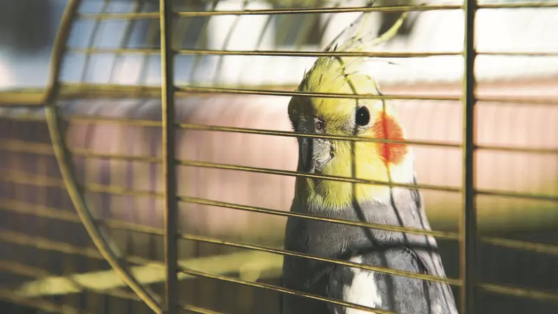 Alten- & Pflegezentrum Annaheim Wiebelskirchen GmbH – Bild 4