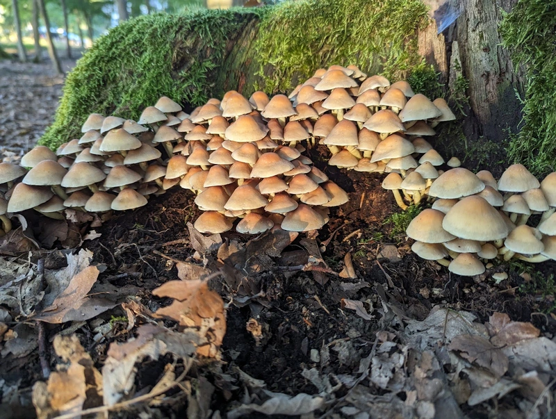 Gemeinde Heidenrod Sozialstation – Bild 3