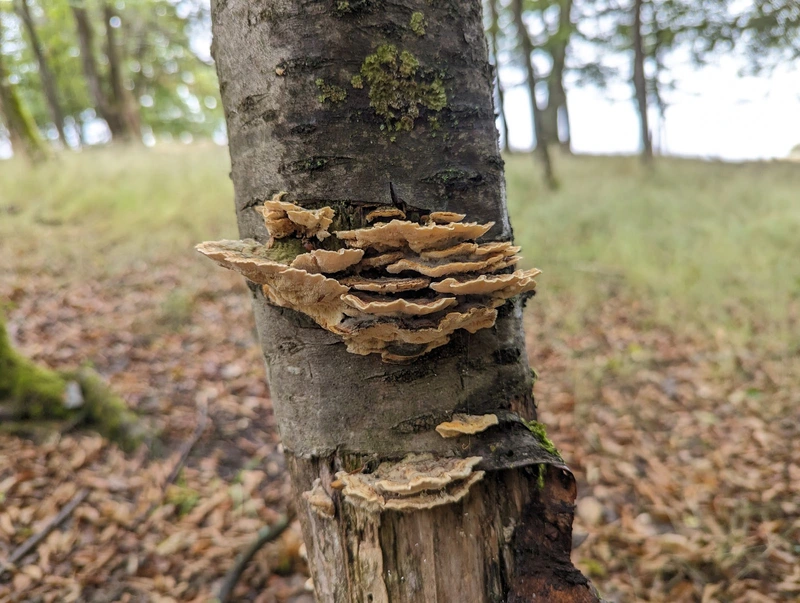 Gemeinde Heidenrod Sozialstation – Bild 4