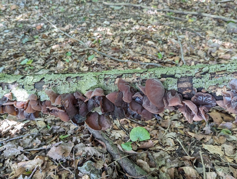 Gemeinde Heidenrod Sozialstation – Bild 5