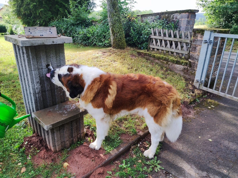 Haus Weiselberg – Bild 3