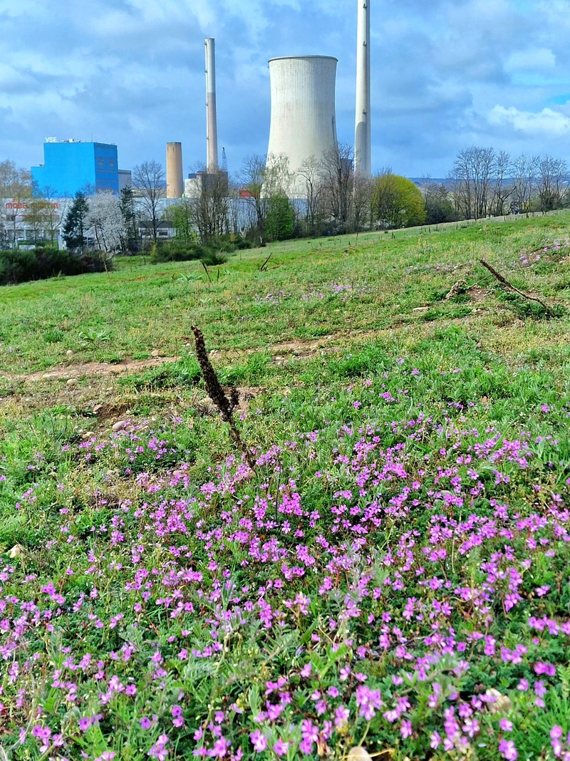 Seniorenresidenz Lindenpark – Bild 4