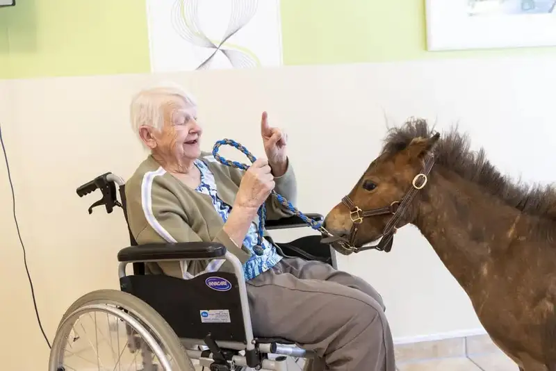 Sozialkonzept Schulze-Kathrin-Hof – Bild 2