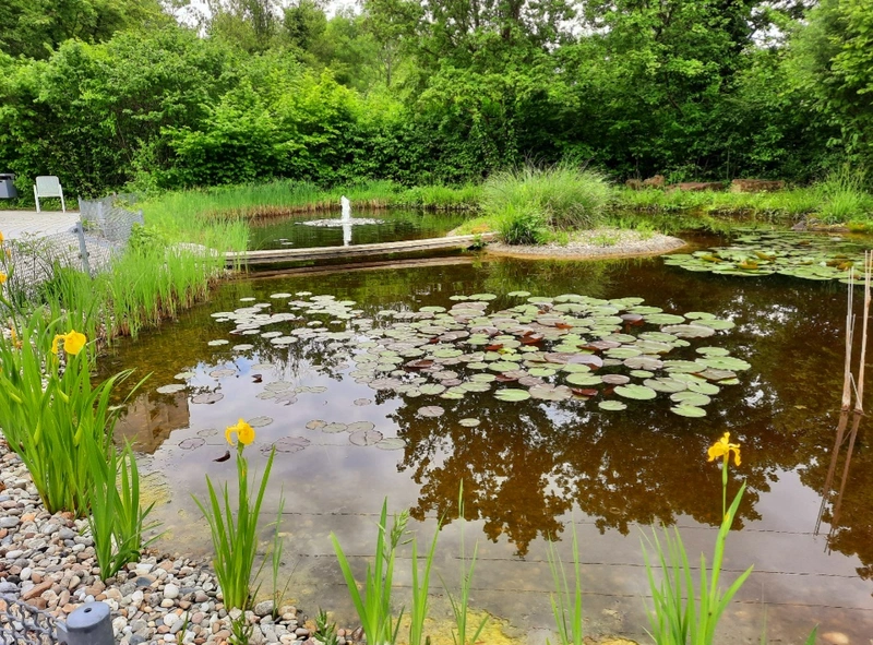 APH der Stadt Dr. Hans Bardens Haus – Bild 3