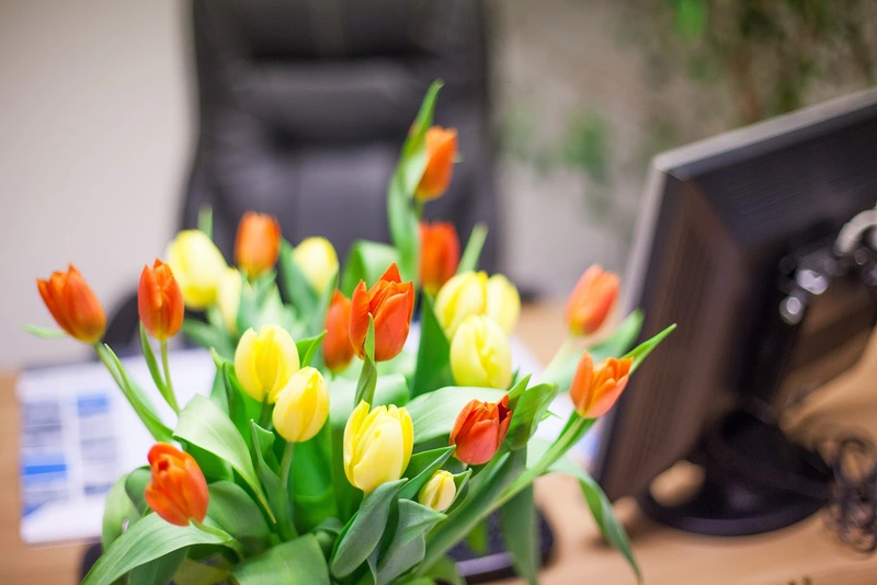 Amb. Hilfs- und Pflegedienst Monika Pauli – Bild 5