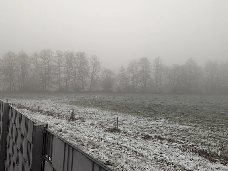 Deutsches Rotes Kreuz – Bild 3