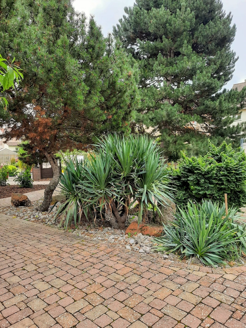 Alten- und Pflegeheim St. Maria – Bild 5