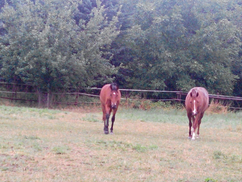 Senioren-Wohn-und Pflegestift Waldparkresidenz – Bild 2