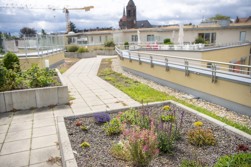 Haus Mathildenhof – Bild 1