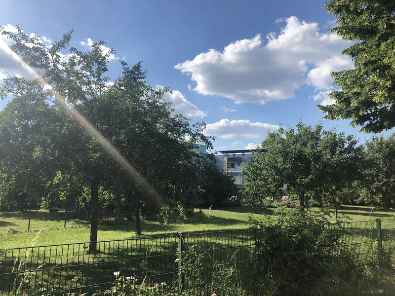 Haushaltsnahe Dienstleistung zur Unterstützung im Alltag – Bild 2