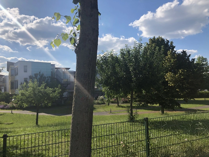 Haushaltsnahe Dienstleistung zur Unterstützung im Alltag – Bild 5