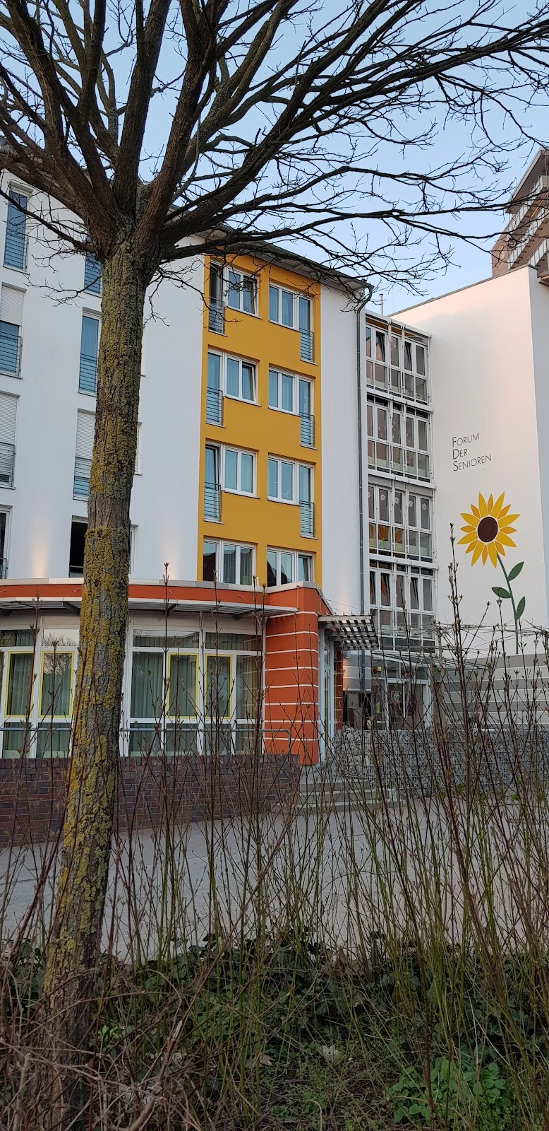 Viernheimer Forum der Senioren – Bild 2