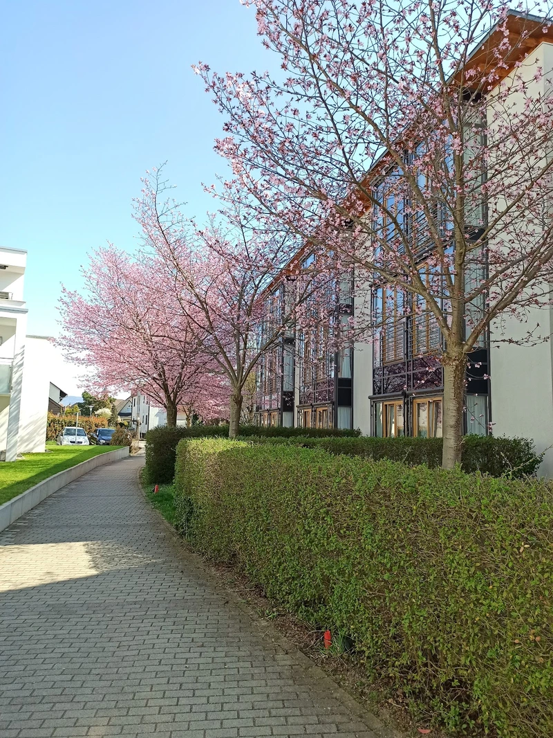 Caritas Altenzentrum Sancta Maria – Bild 3