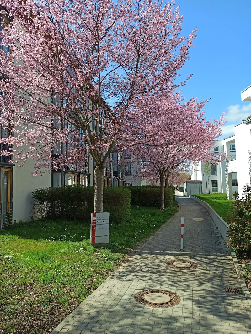 Caritas Altenzentrum Sancta Maria – Bild 5