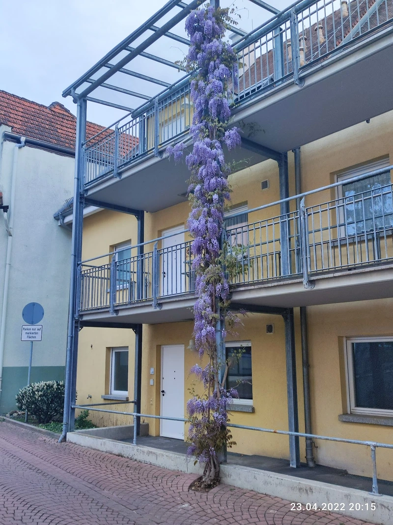 Sozialstation der Astor-Stiftung – Bild 3