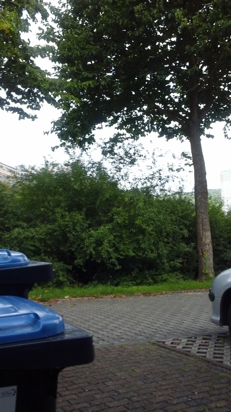 Lebenshilfe für Menschen mit Behinderung Kreisvereinigung Mayen-Koblenz – Bild 2