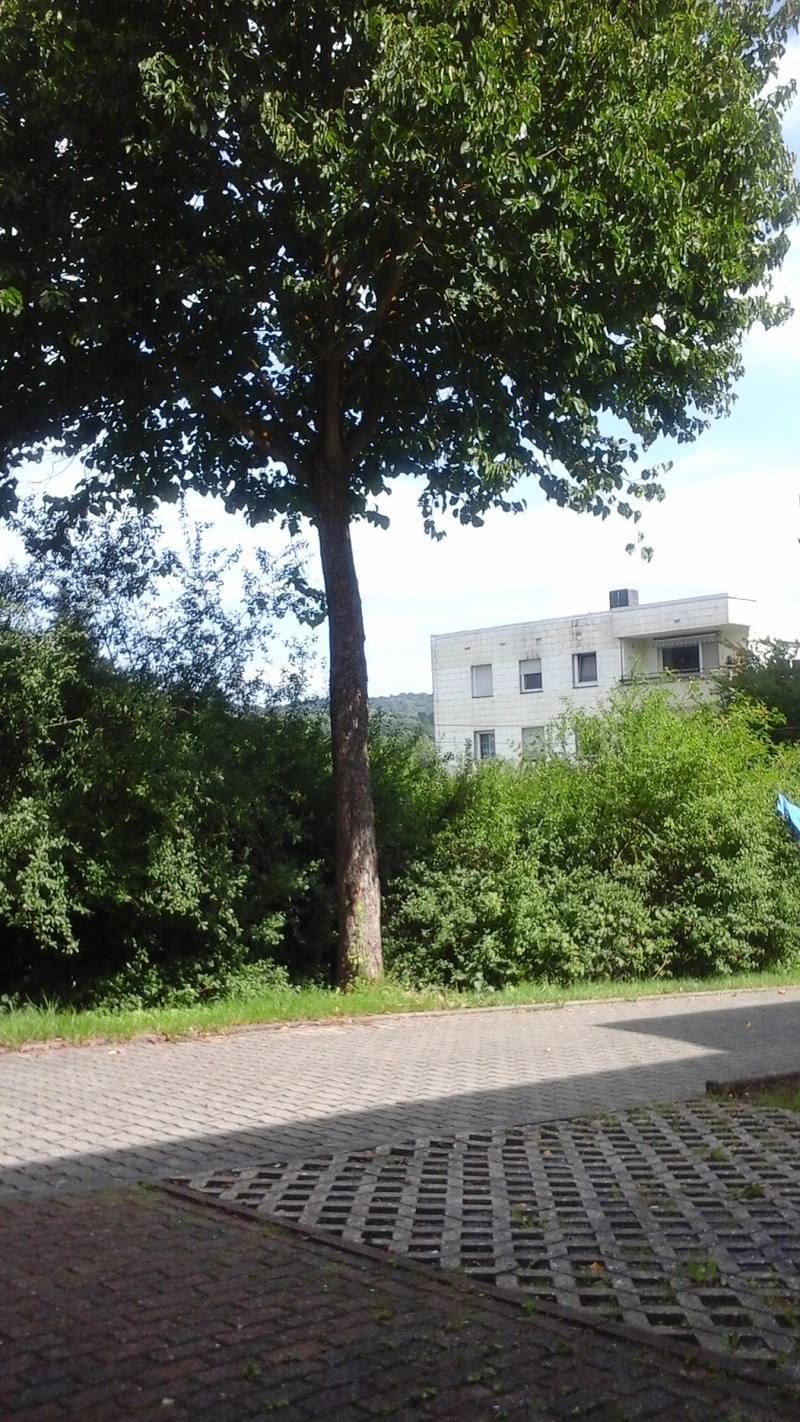 Lebenshilfe für Menschen mit Behinderung Kreisvereinigung Mayen-Koblenz – Bild 4