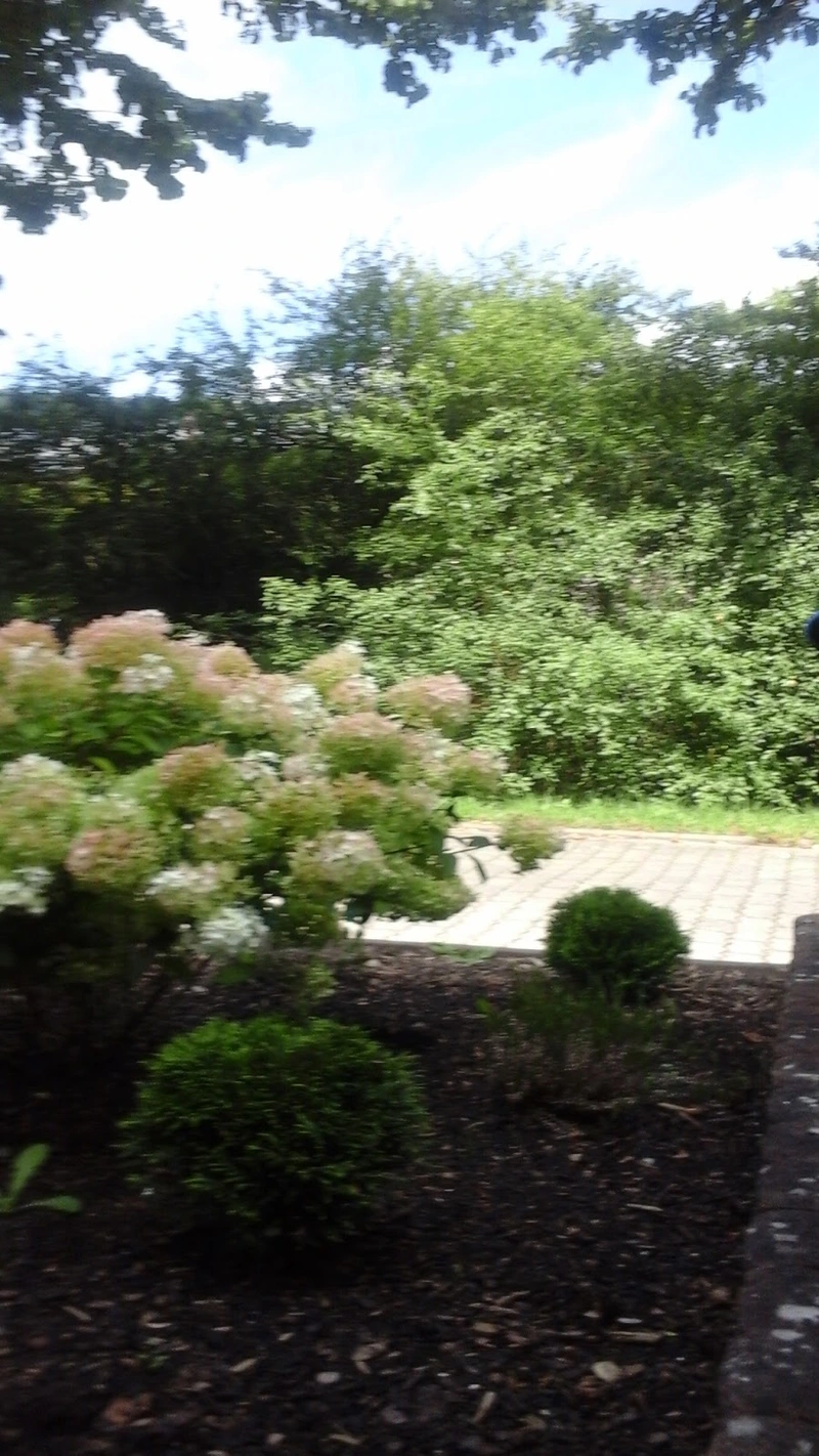 Lebenshilfe für Menschen mit Behinderung Kreisvereinigung Mayen-Koblenz – Bild 5