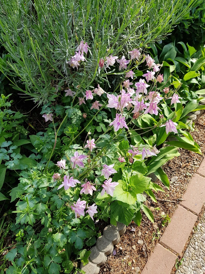 Alten- und Pflegeheim Hardberg GmbH – Bild 4