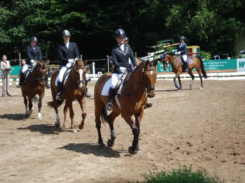 Reittherapie Sauer – Bild 1