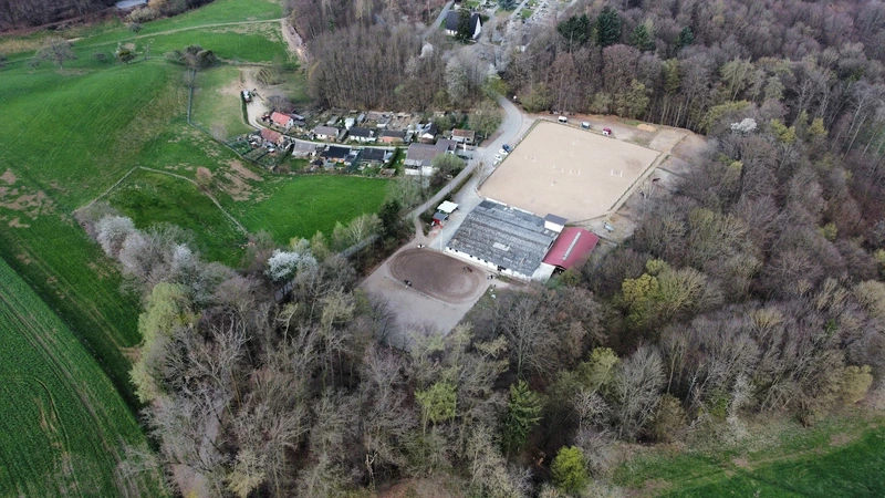 Reittherapie Sauer – Bild 2