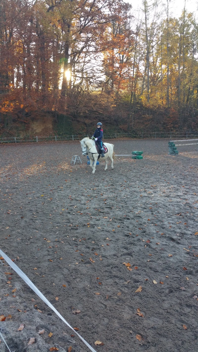 Reittherapie Sauer – Bild 3