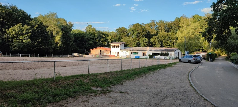 Reittherapie Sauer – Bild 4