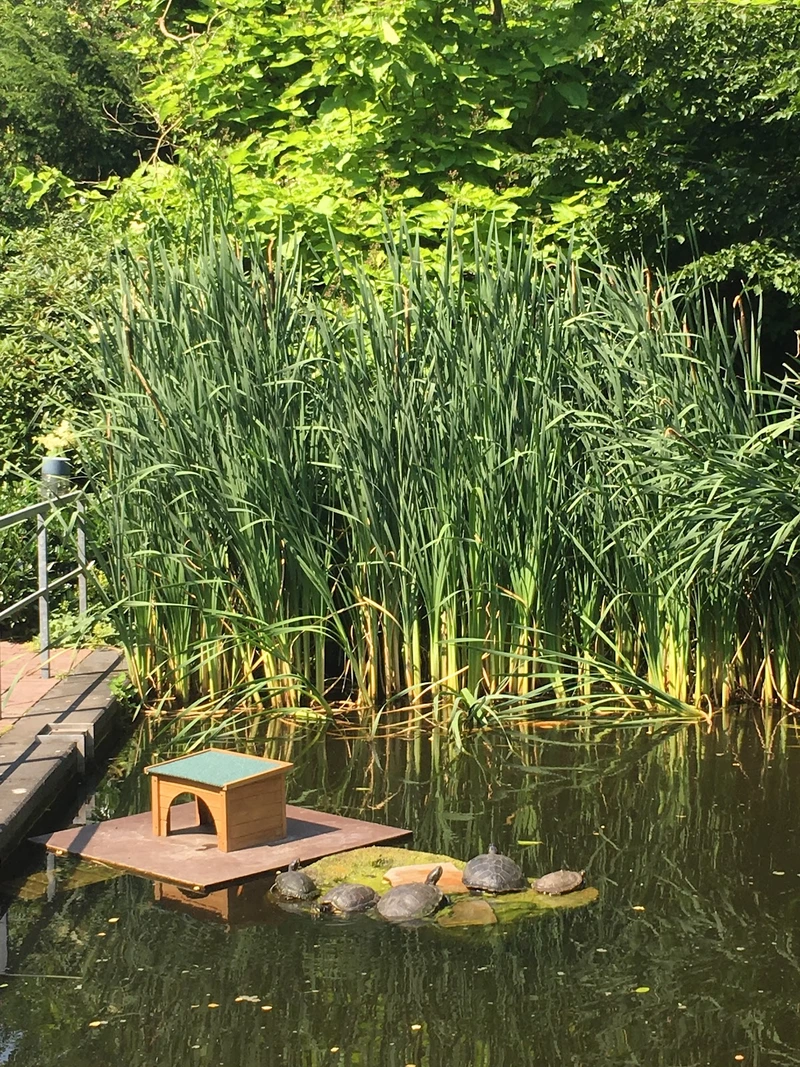 Seniorenpflegeheim "Am Wald" – Bild 2