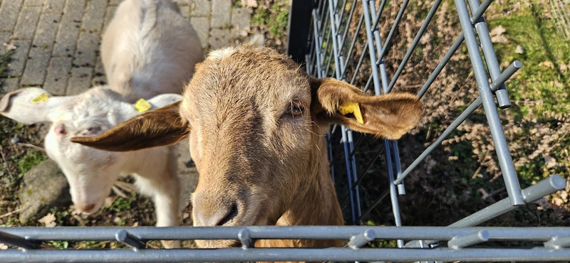 Parkheim Berg – Bild 5