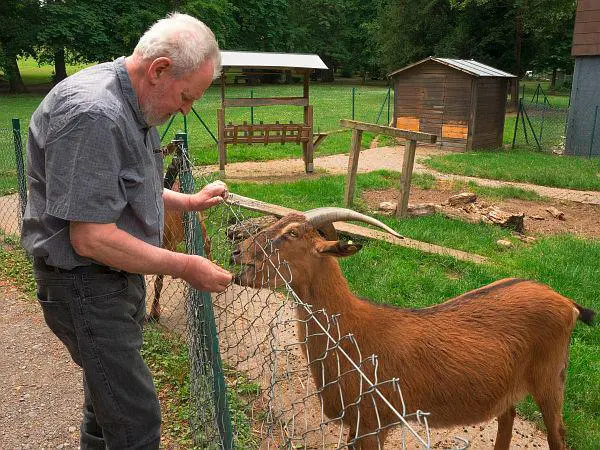 Generationenzentrum Sonnenberg Tagespflege – Bild 1