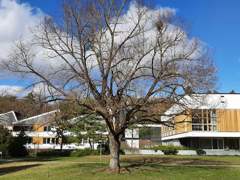 Haus Weitblick – Bild 2